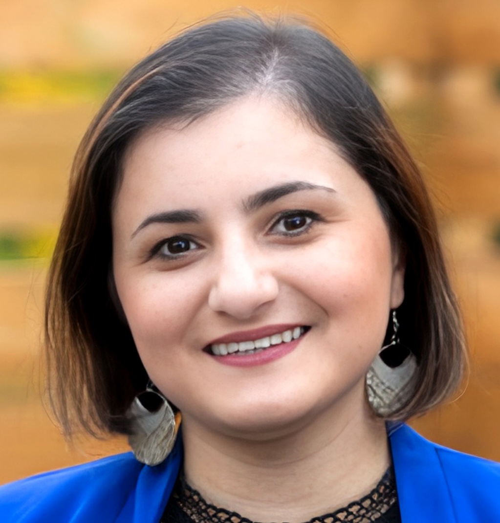 Negean Mashayekhi web